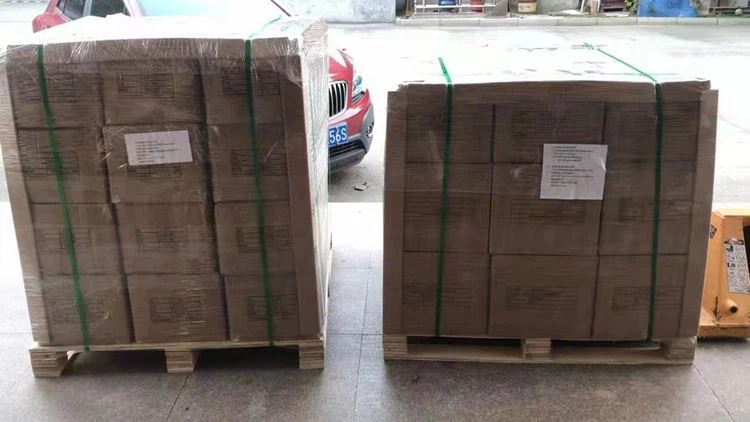 2 पैलेट शाफ़्ट का पट्टा हंस हुक के साथ, गुआंगज़ौ हाओमियाओ को भेजा गया